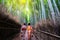 Traveler in Bamboo Forest Grove, Kyoto, Japan