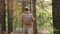 Traveler casual style man walking in woods with backpack, single hiking in autumn forest