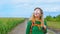 A traveler goes along a cornfield on a dirt road