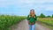 A traveler goes along a cornfield on a dirt road