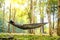 Traveler man hiking and relaxing in hammock autumn woods