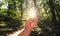 Traveler man searching direction with a compass in the deep woods. Point of view shot with explosive sunlight