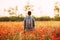 Traveler man walking in red poppy flower meadow.