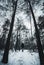 A traveler man walking in snowy forest pathway