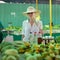 Traveler shopping on traditional Victoria food market, Seychelles.