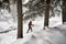 Traveler with snowshoes at snow forest in the mountains