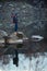 Traveler stands on granite stones amidst a calm lake