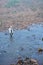 Traveler thai man travel and walking crossing small stream