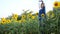 Traveler thai woman use camera portrait and selfie in sunflower flower field