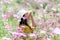 Traveler or tourism Asian women standing and chill  in the cosmos flower field in vacations time.  People  freedom and relax in th