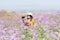 Traveler or tourism Asian women standing and holding camera take a photo flower in the purple  verbena field in vacations time.