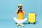 Traveler tourist woman in yellow casual clothes, hat with suitcase photo camera isolated on blue background. Female