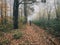 Traveler walking in autumn foggy woods with fall leaves in cold morning. Hipster girl hiking in autumn misty forest. Tranquil