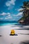 Traveler yellow backpack and flip flops on the sandy tropical beach on summer holidays trip, travel background with copy