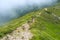 Travelers - men and boy with backpacks rise along the ridge