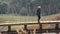 Travelers thai women visit walking on wooden suspension bridge in Pang Oung