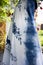 Travelers thai young women wear indigo tie dye painting shawl and scarf posing portrait for take photo in garden at outdoor of