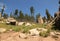 Traveling along the needles highway