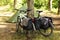 Traveling by bicycle and camping in pine forest