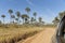 Traveling by car inside El Palmar National Park, in Entre Rios, Argentina