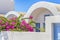 Traveling Ideas. View of Traditional Greek Architecture and Houses With Blossoming Flowers in Foreground in Oia or Ia Village at