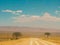 Traveling on a long dirt road in west Namibia