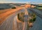 Traveling Tuscany. Cypress trees circle illuminated by the setting sun from the air.