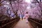 Traveller girl walk on the wooden bridge in sakura flower garden