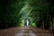 A traveller woman walks in the middle walk way of green pine Forrest in summer in Sakonnakhon,Thailand.