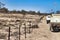 Travelling along the Dingo Fence in the Simpson Desert. Australia
