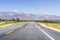 Travelling through Anza Borrego Desert State Park during wildflowers spring season, south California