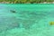 Travelling boat on the crystal clear water