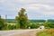 Travelling by car. Asphalt road among summer fields of green plantings