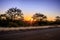 Travelling through a dry bushveld landscape covered in mopani and acacia trees at sunset