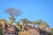 Travelling through a dry bushveld landscape covered in mopani and acacia trees at sunset