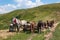 Travelling Gypsy camp with horse and wagon