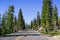 Travelling on a winding road through the evergreen forests of Lassen Volcanic National Park, Shasta County, California