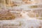 Travertine Formations At Mammoth Hot Springs In Yellowstone National Park