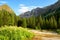 Travertine glade near dark coniferous taiga in Siberian mountains