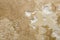 Travertine Stone