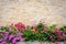 Travertine stone wall and decorative garden