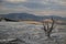 Travertine terrace at Mammoth Hot Springs in Yellowstone National Park, Wyoming,USA