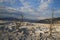 Travertine terrace at Mammoth Hot Springs in Yellowstone National Park, Wyoming,USA