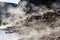 Travertine terrace in the morning backlit at Mammoth Hot Springs in Yellowstone