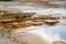 Travertine terrace in the morning light, Yellowstone National Park,