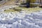 Travertine terraces, Mammoth hot springs, Yellowstone National Park, Wyoming