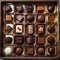 A tray of assorted gourmet chocolates in a fancy box4