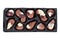 Tray of Belgian milk chocolate bonbons shaped as seashells with clams, seahorses