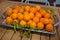 Tray of Florida Oranges Fruit