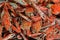 A tray of fresh red crabs stacked in layers in a wet market in Thailand